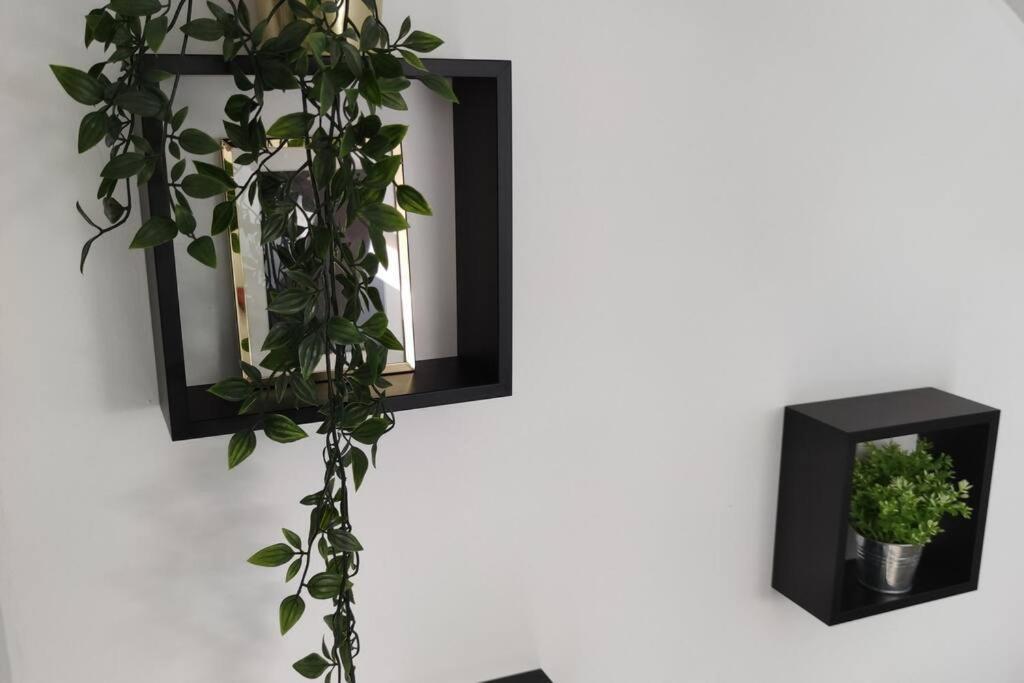 Duplex Cosy Place Republique Apartment *