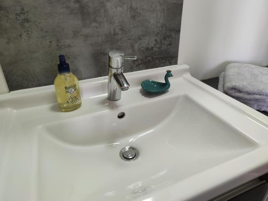 Duplex Cosy Place Republique * Lille