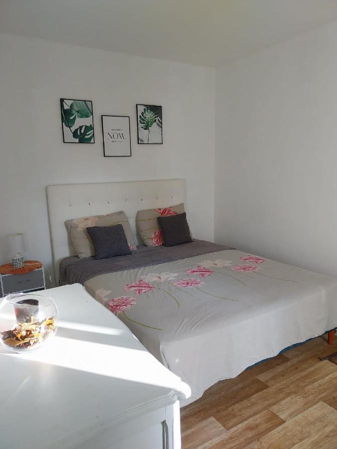 Apartment T2 Parc Jb Lebas Lille