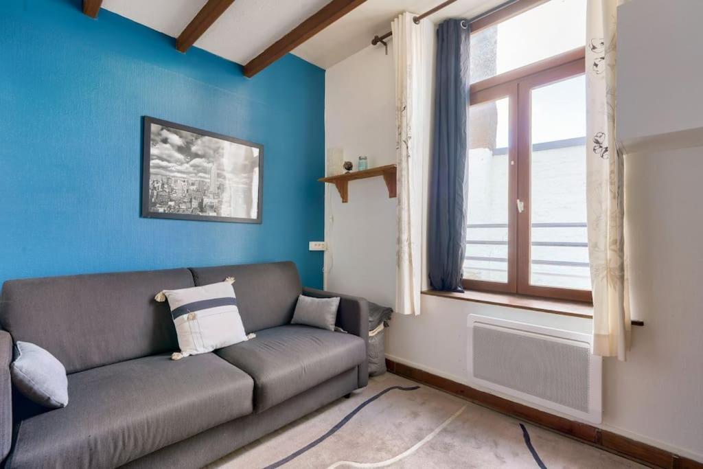 Cosy Studio A Prox Du Musee D'histoire Naturelle Apartment