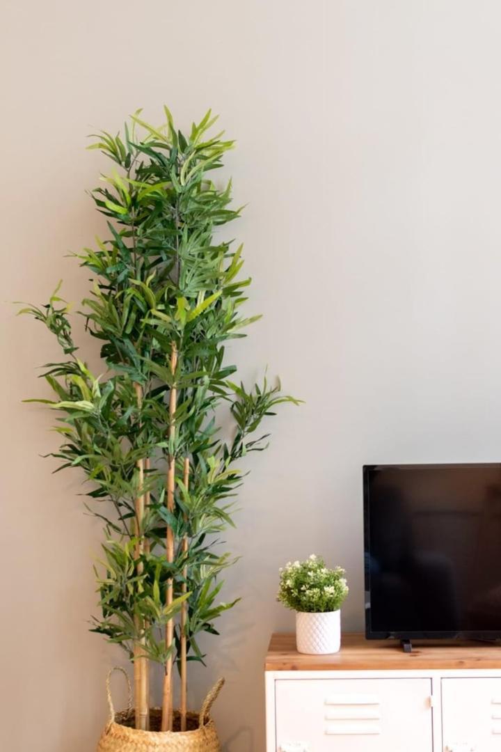 Appartement Centre - And Functional Ap.