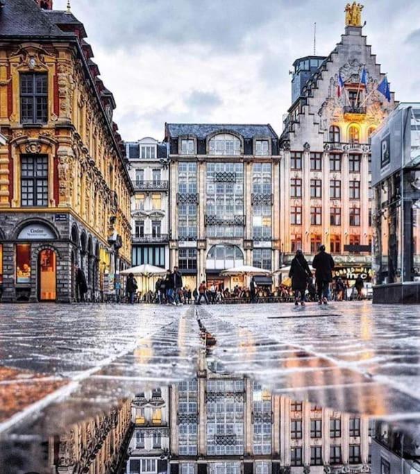 La Belle Treille By Concierge Lille