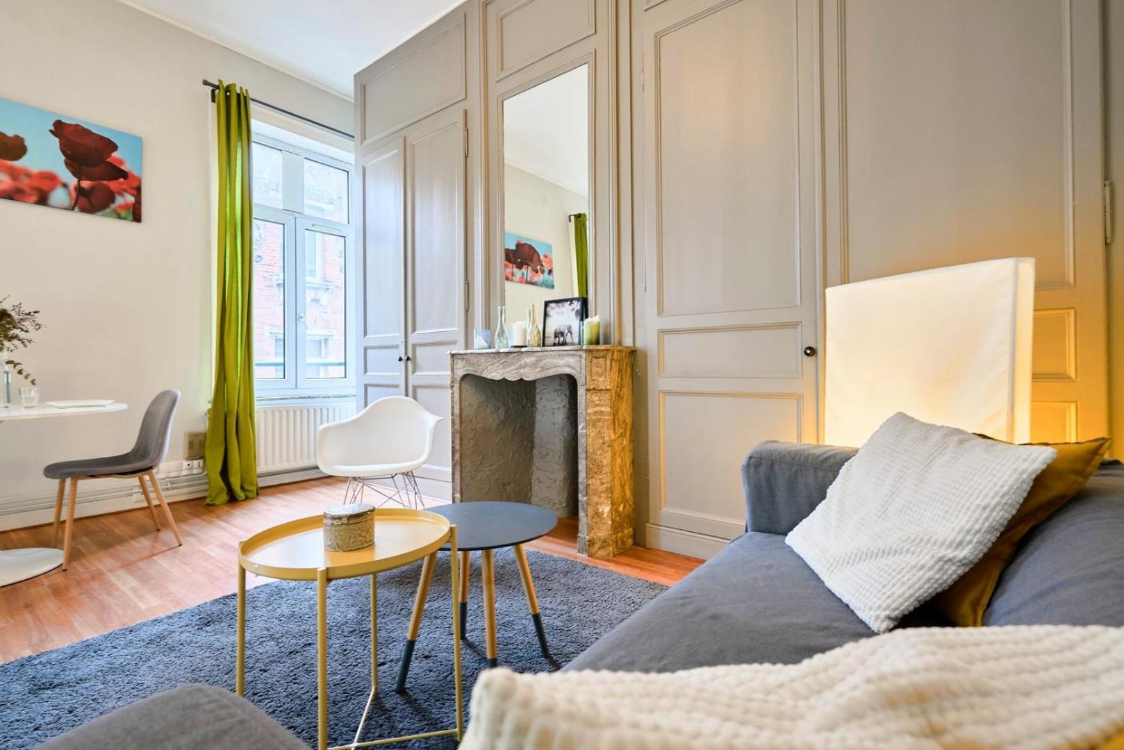 Appartement Joli En Hypercentre Lille