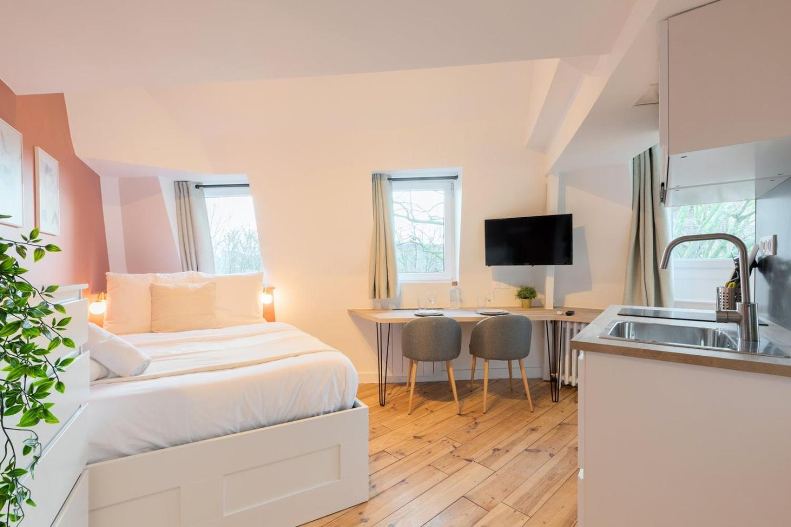Center Equipped Apartment Lille