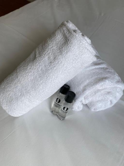 La Belle Treille By Concierge Appartement Lille