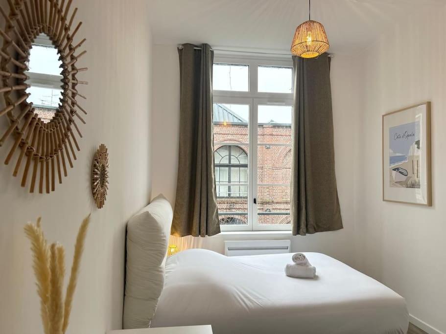 Vieux-lille Renove Avec Apartment *