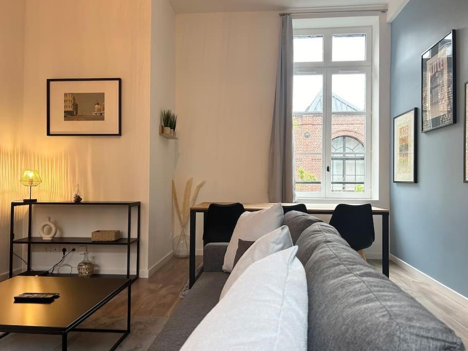 Vieux-lille Renove Avec Apartment *