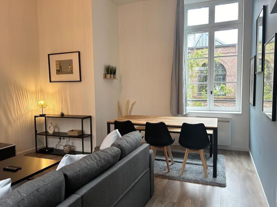 Vieux-lille Renove Avec Lille