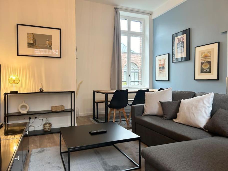 Vieux-lille Renove Avec Apartment Lille