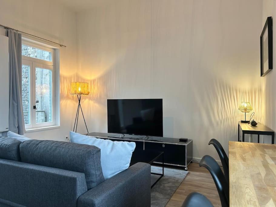 Vieux-lille Renove Avec Apartment *