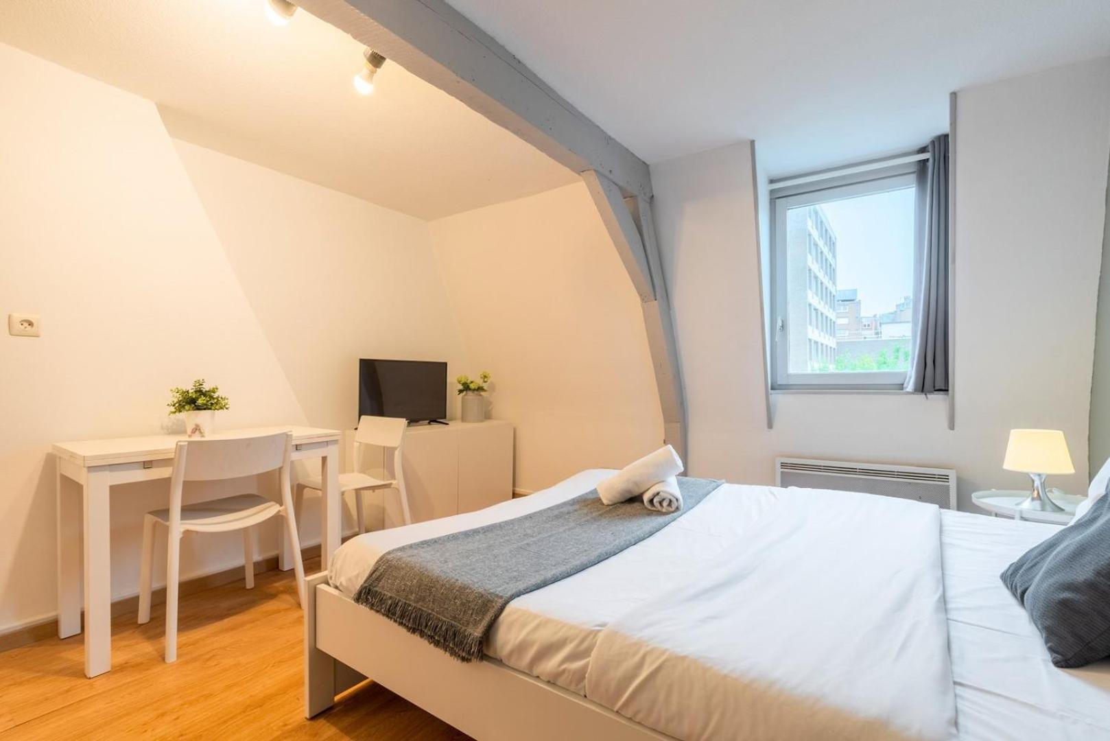 Apartment Functional And Equipped Lille