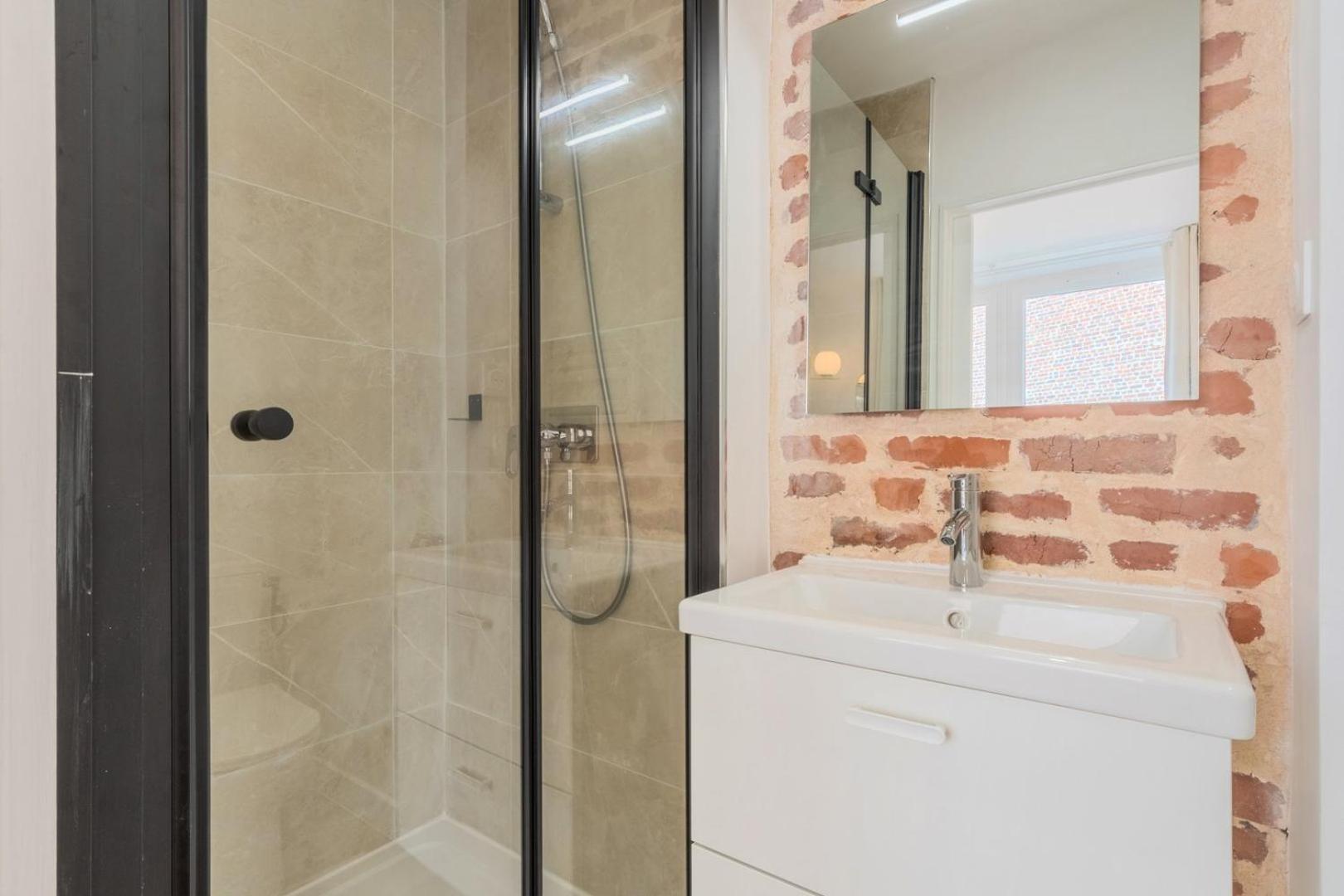 5-bedroom House In The Centre Of Lille. * Lille