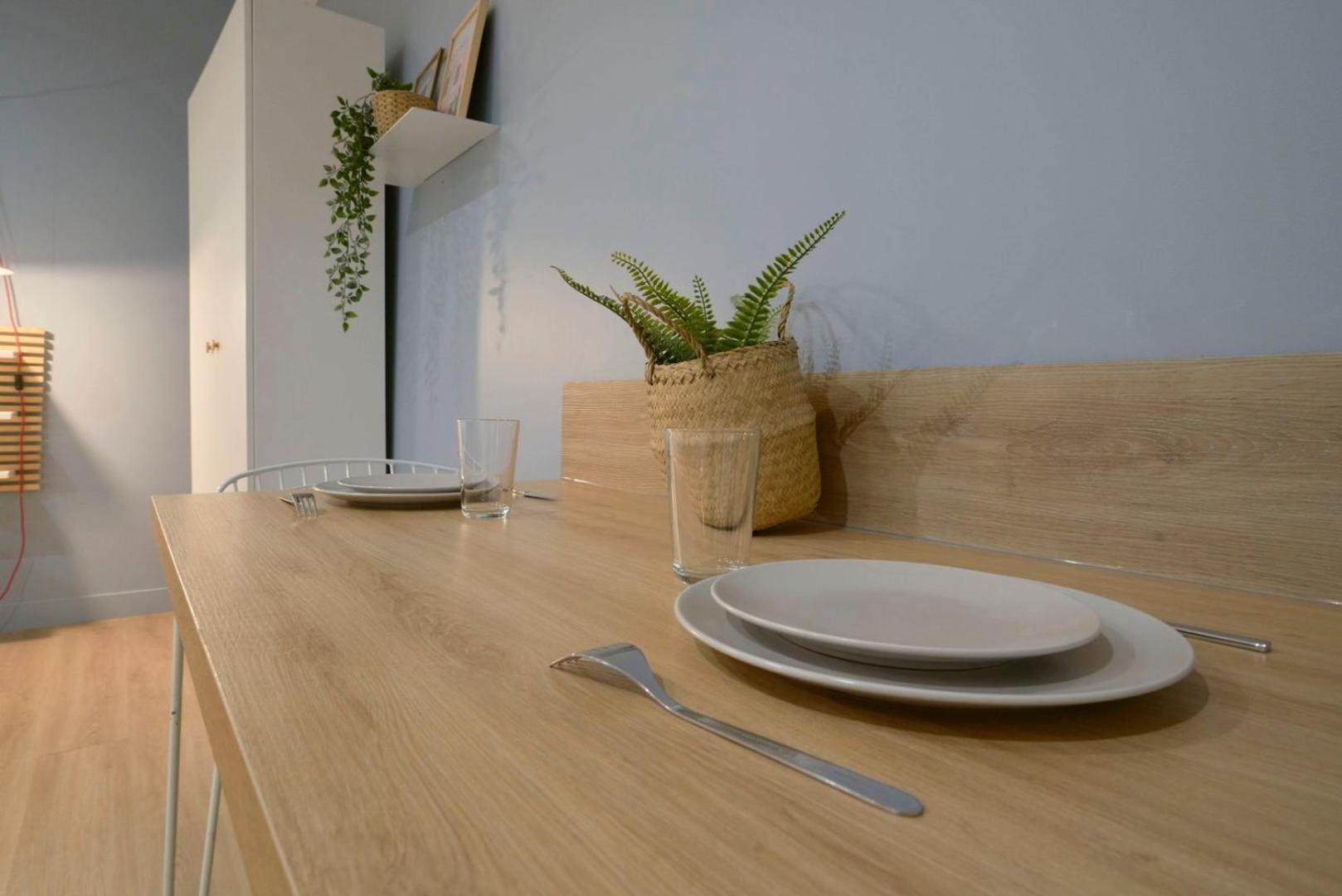 Apartment Equipped In The Heart Of The Stations Lille