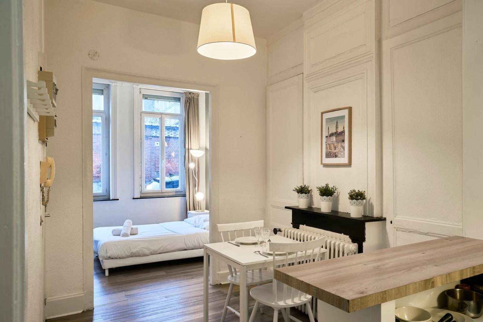 Apartment Centre - Large Functional Lille