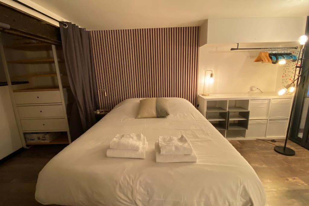 Vaste T2 Duplex Beaux Arts - Renaud * Lille