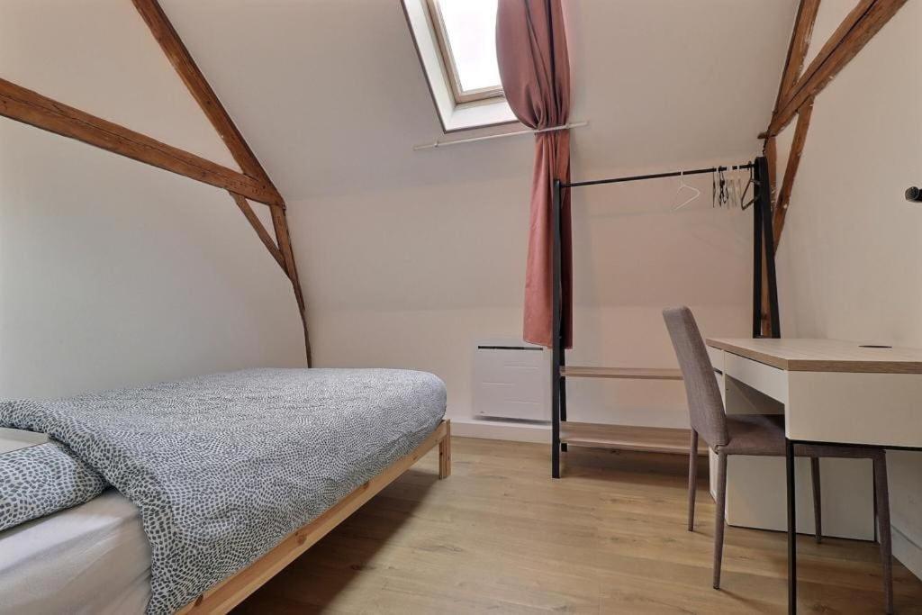 Grand Loft Proche Centre Appartement