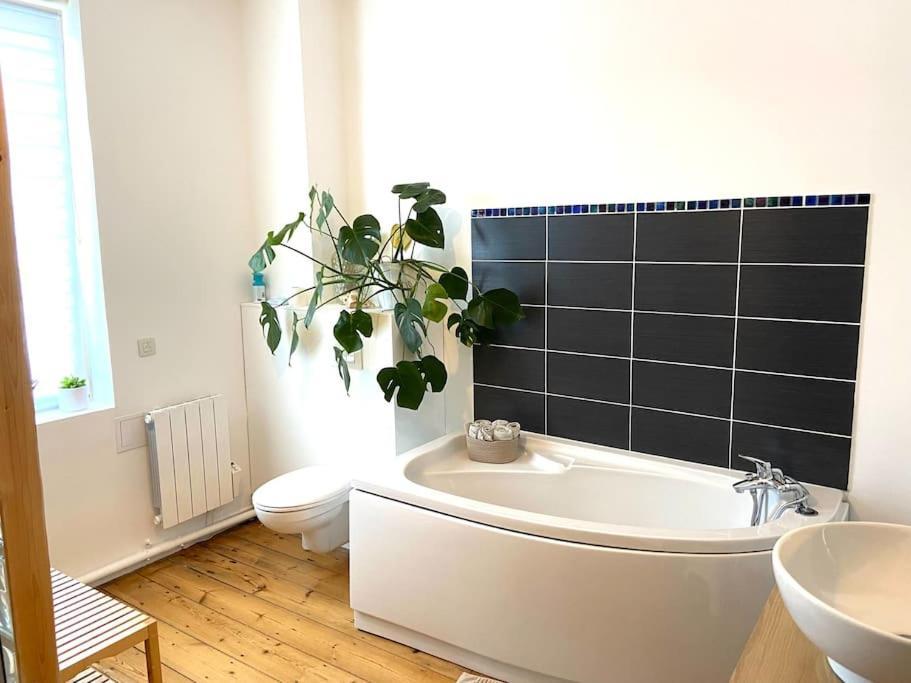 Maison 6 Personnes Avec Jardin Lille