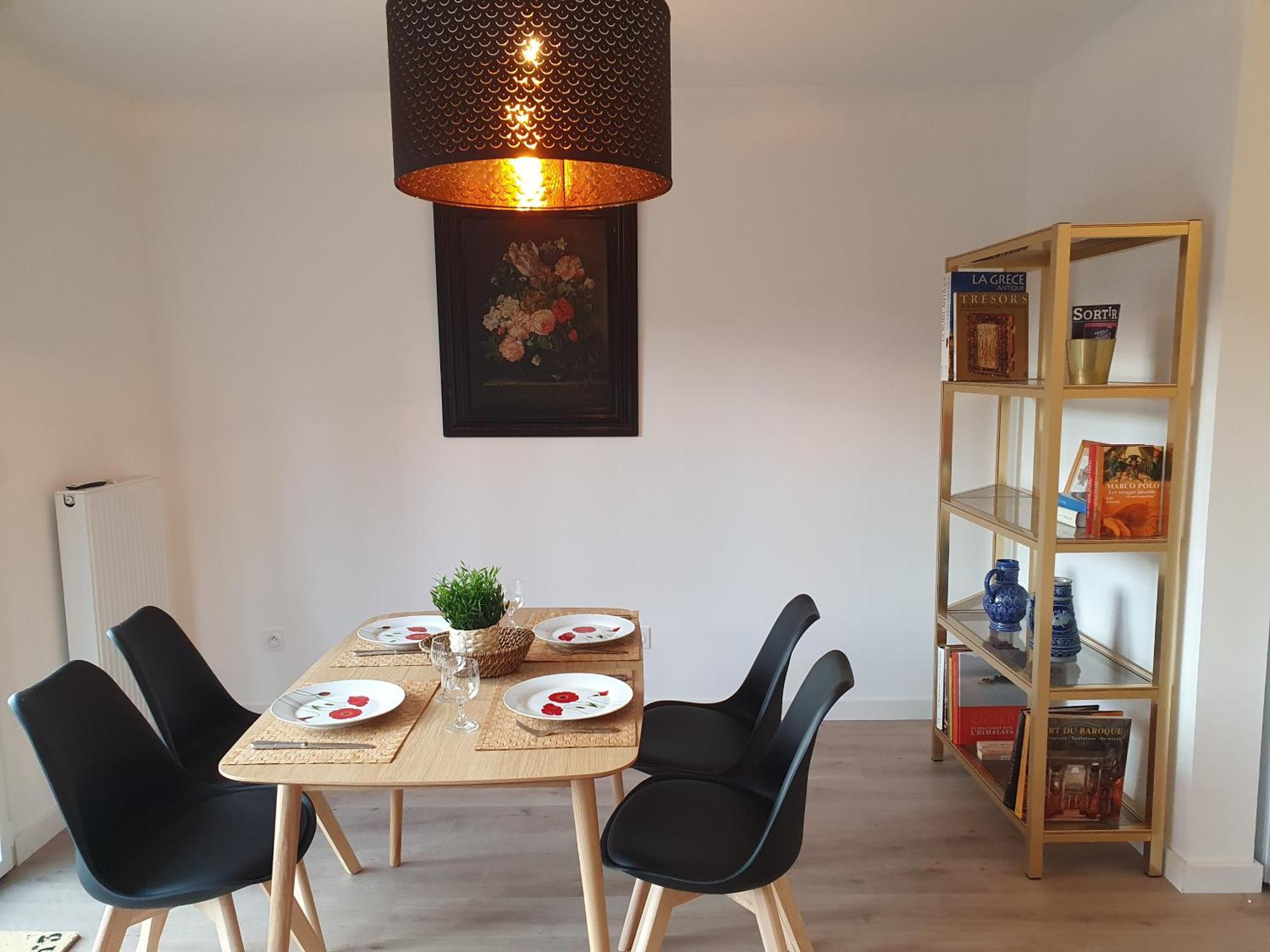 Apartment Grand Palais, Europe, Bienvenue Chez Nestyou, Lille