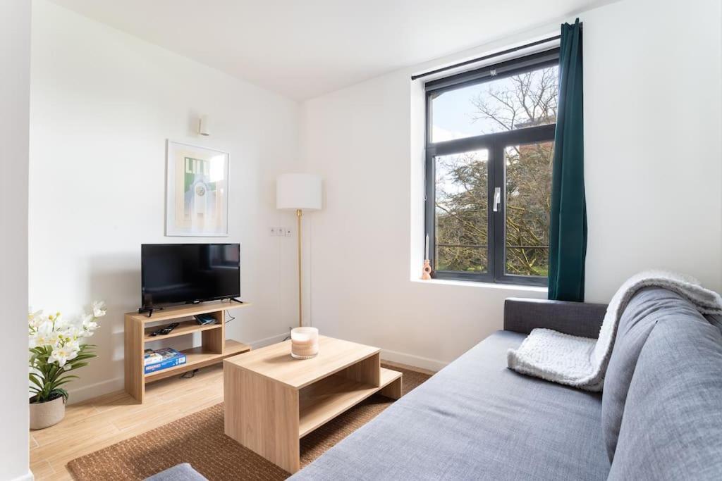 - Bel Cosy Et Lumineux Apartment Lille
