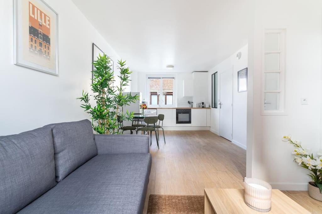 - Bel Cosy Et Lumineux Lille