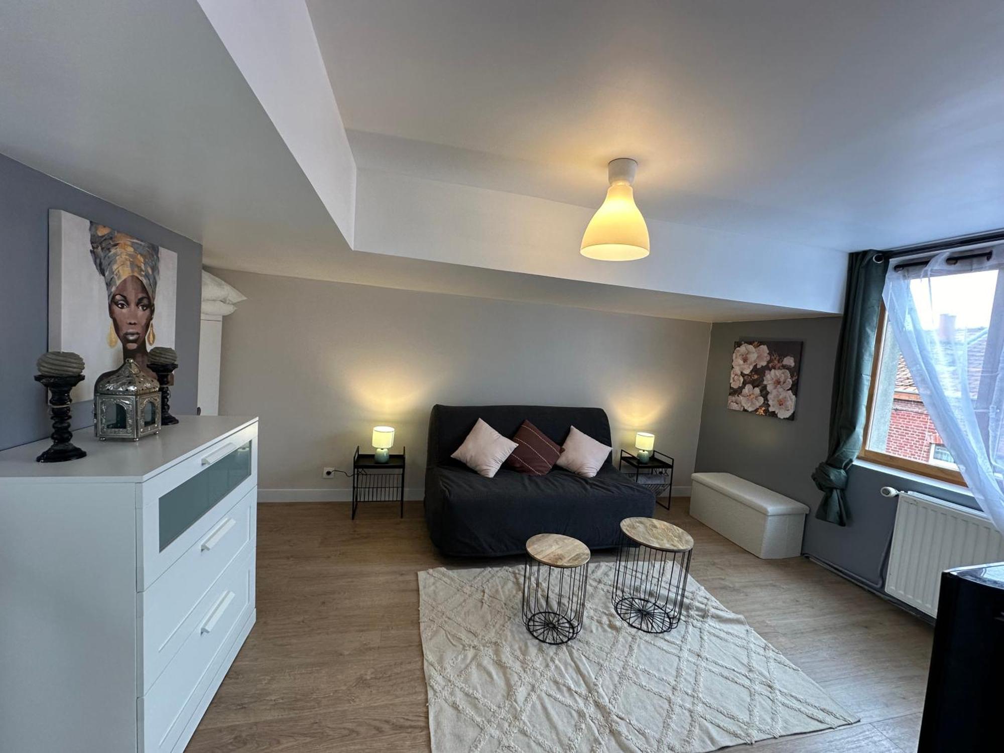 Maison Lilloise 3 Appartement Lille