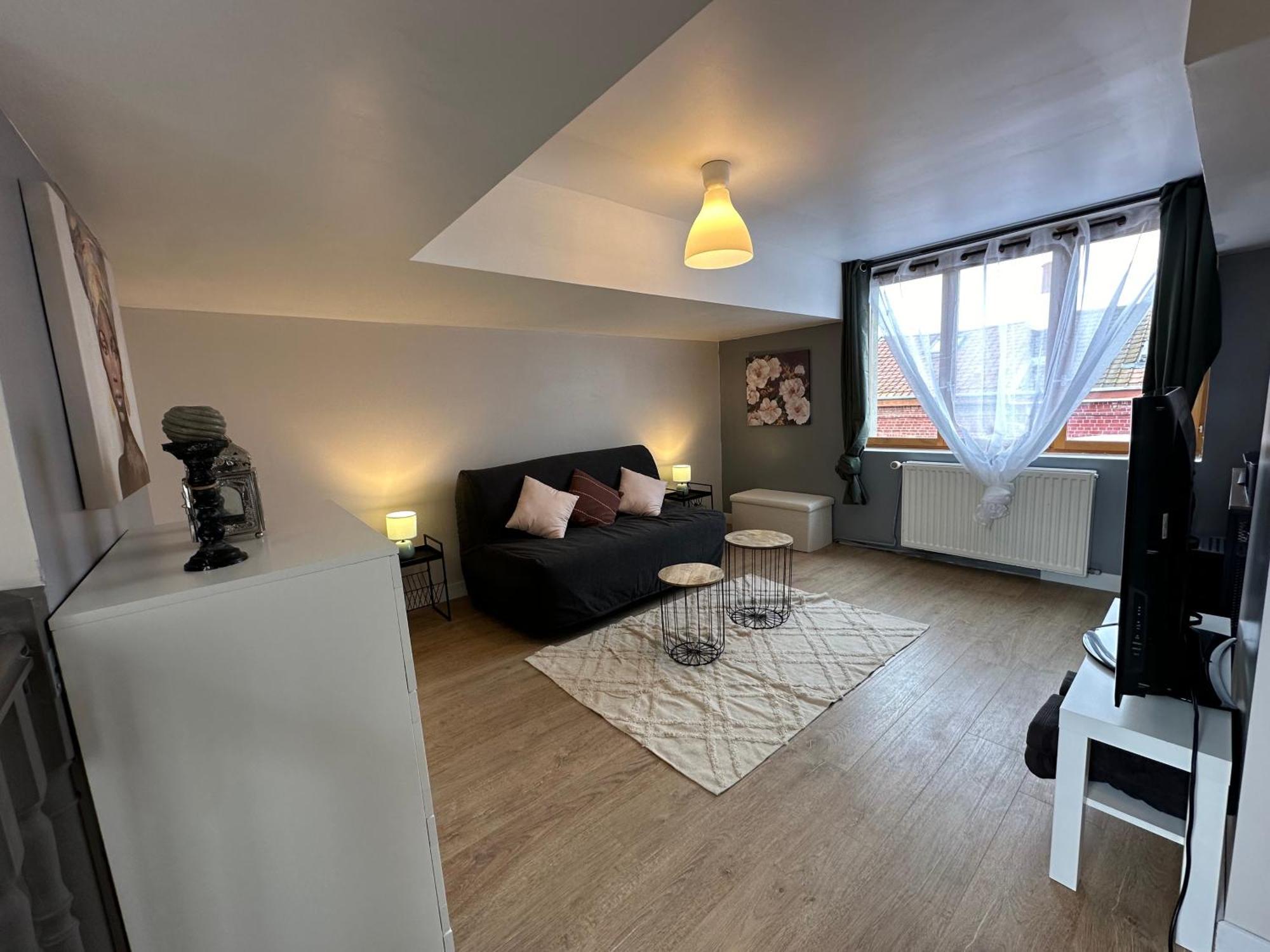 Appartement Maison Lilloise 3 *