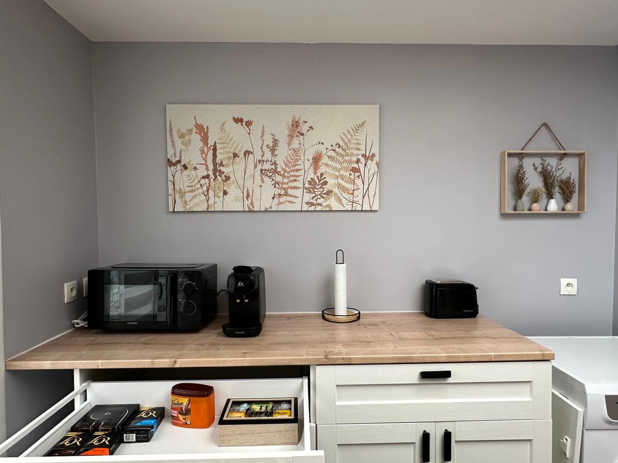 Appartement Maison Lilloise 3