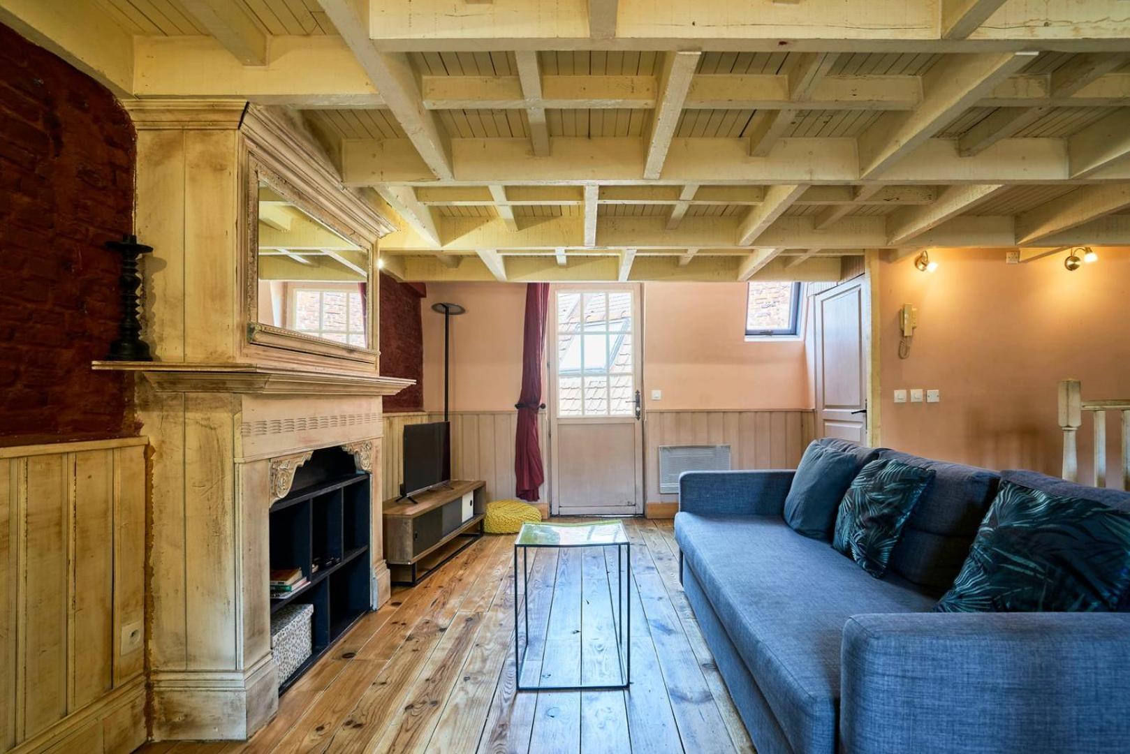 Old With Terrace Apartment Lille