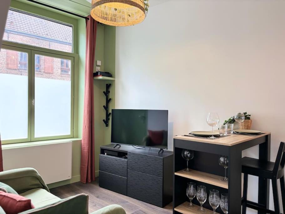 Vieux-lille - Deux Pieces De Charme Apartment *