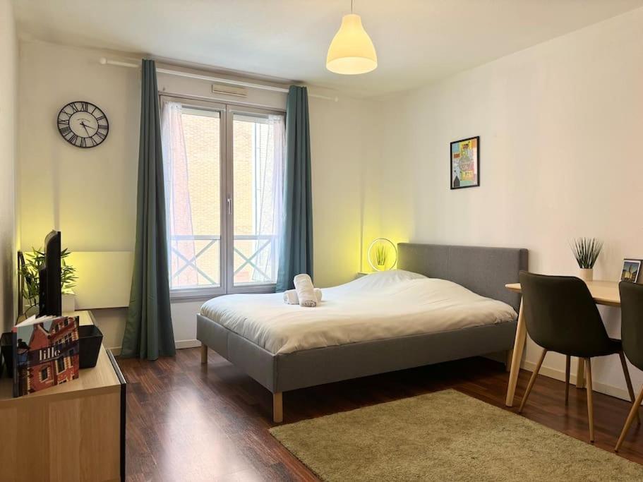 Apartment En Hyper-centre De Lille