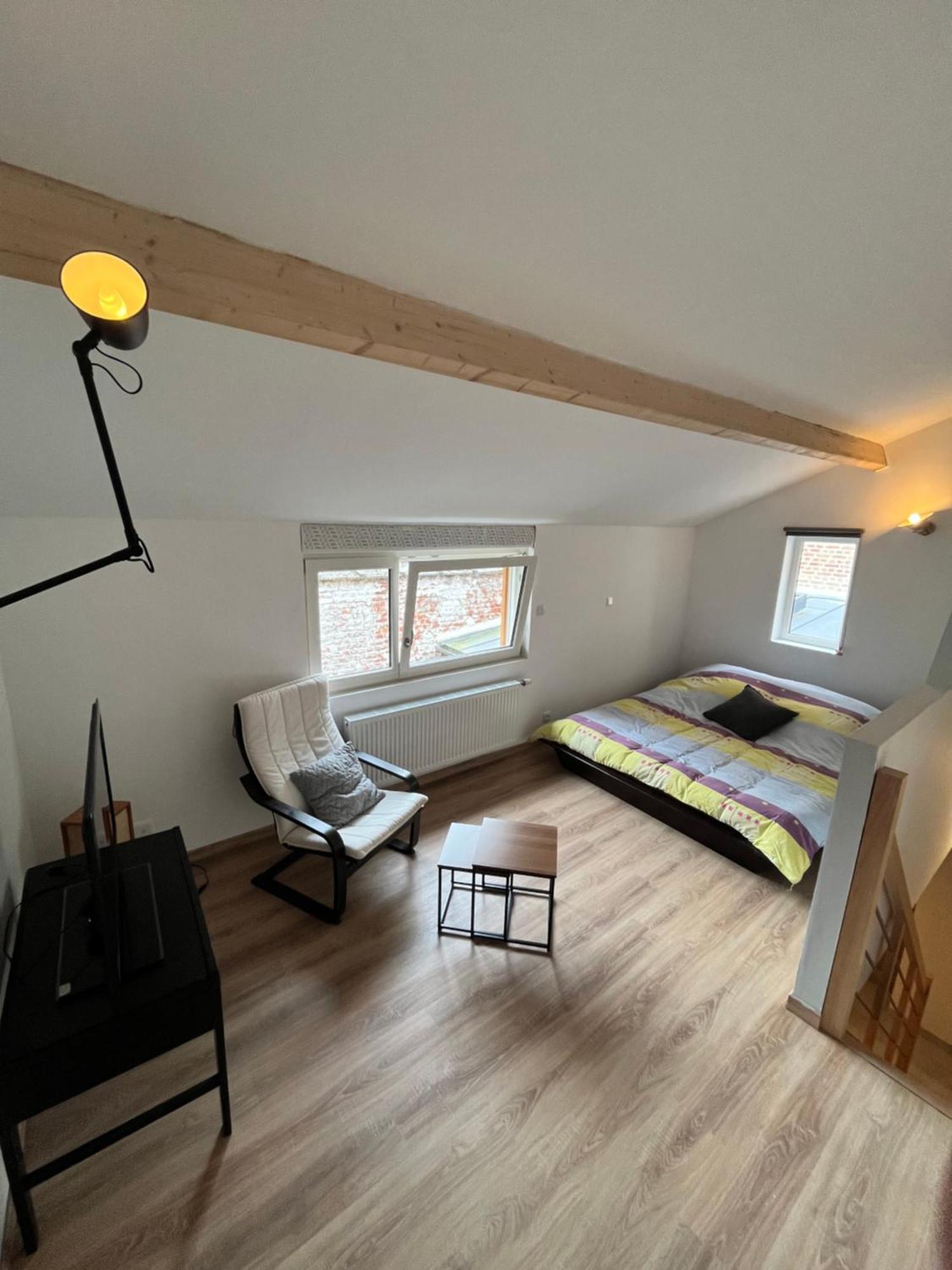 Le Chaufour Apartment Lille