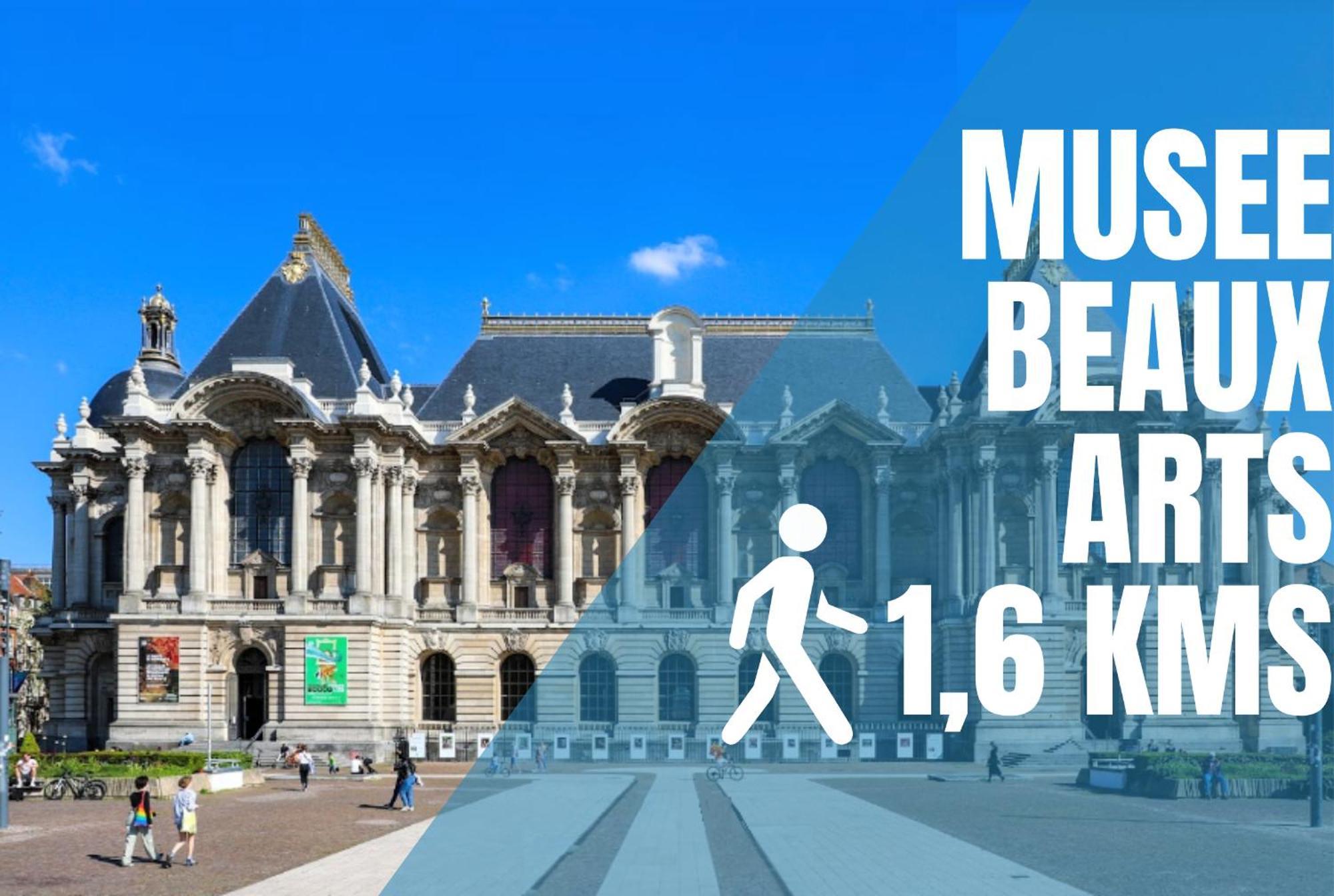 La Bibliotheque - Les Demeures D'adrien Lille