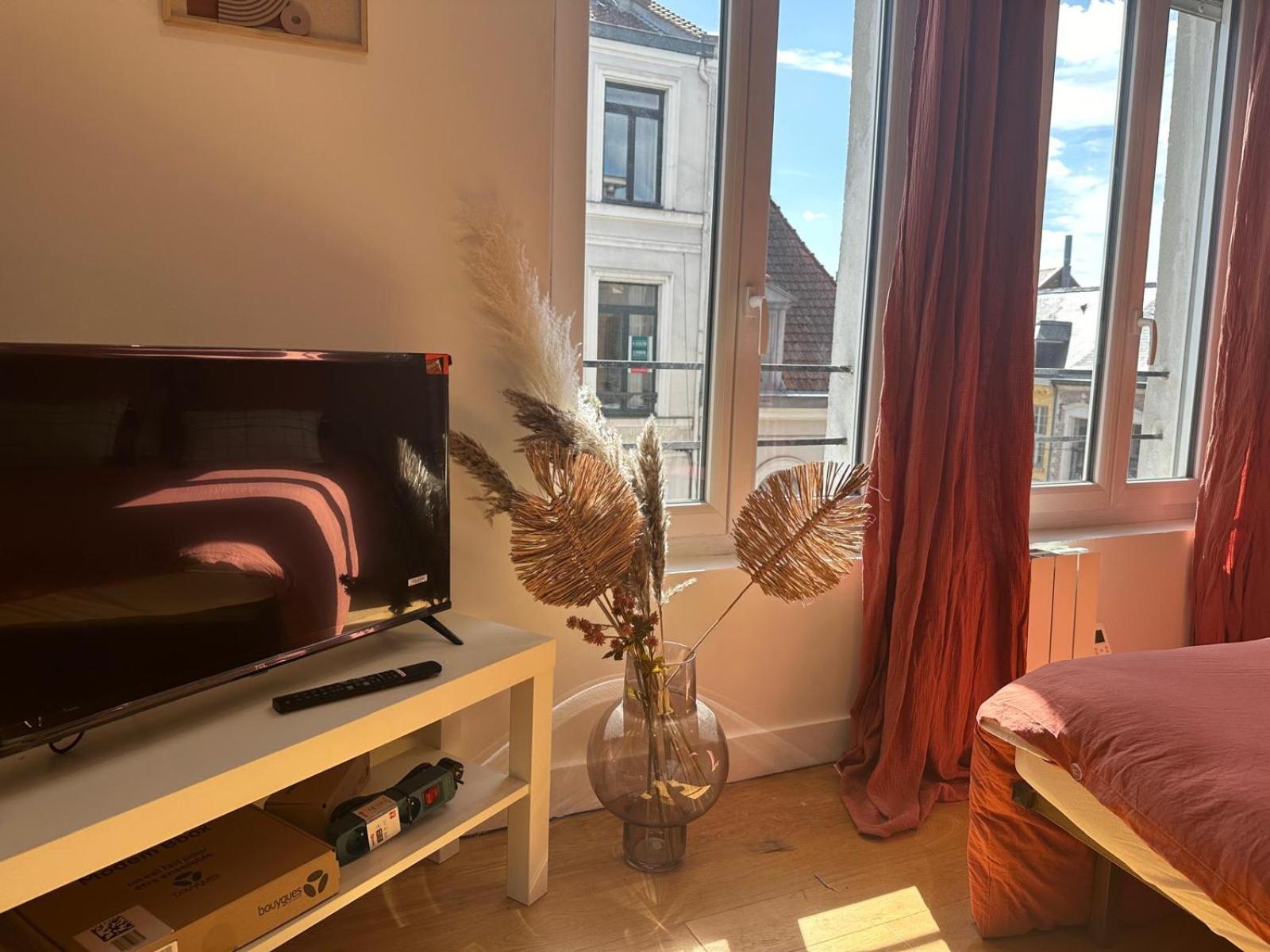 Lerelaisdodile - Cosy Au Vieux-lille * Lille