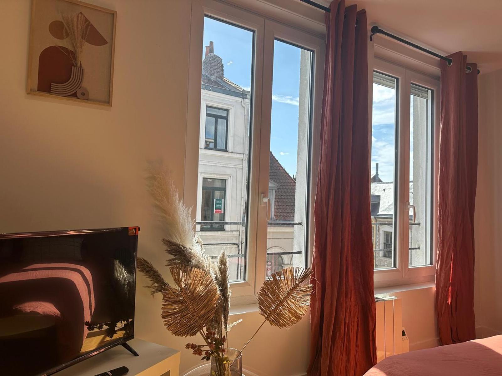 Lerelaisdodile - Cosy Au Vieux-lille Lille
