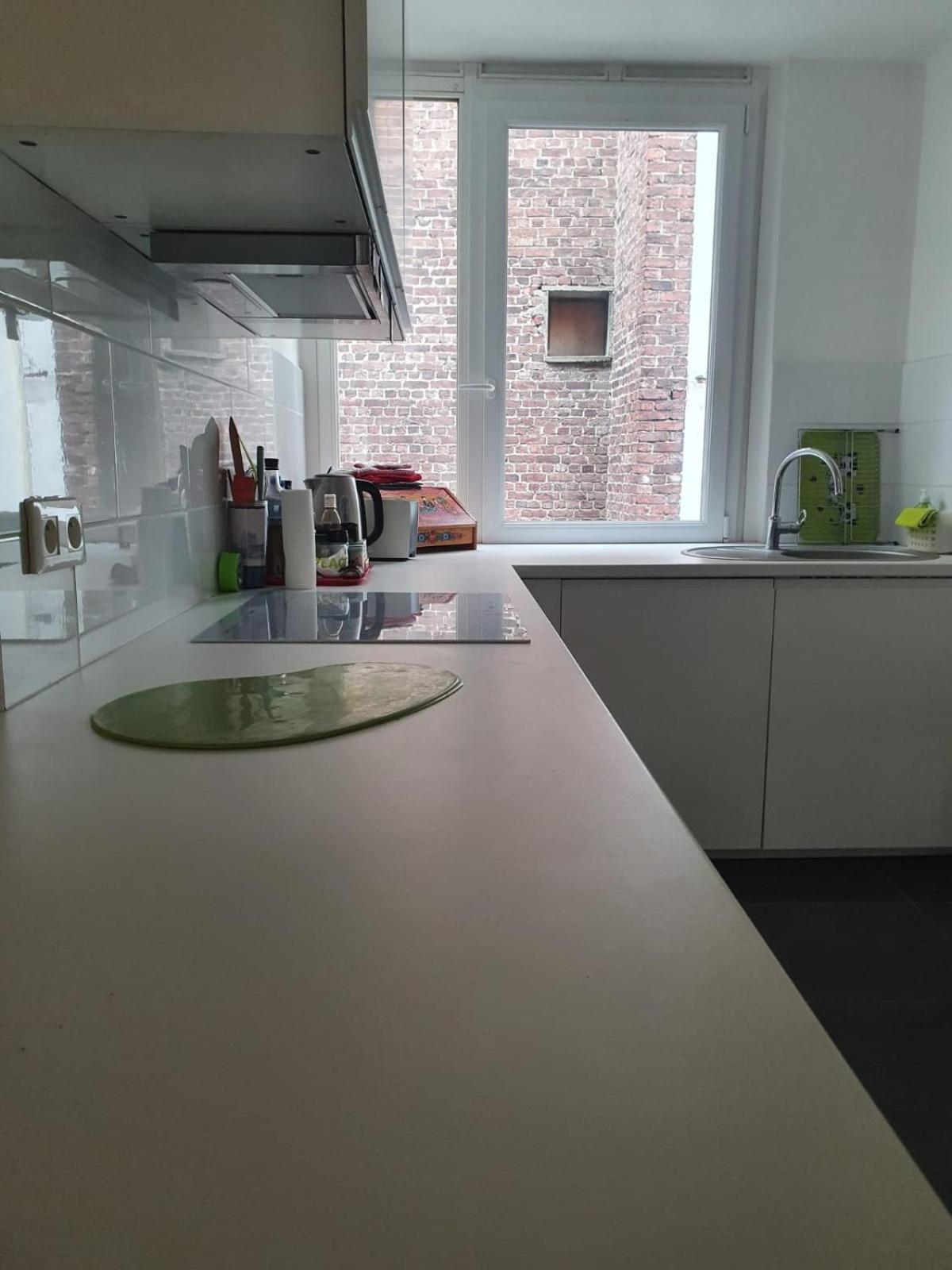 Flat Sainte Anne Appartement Lille