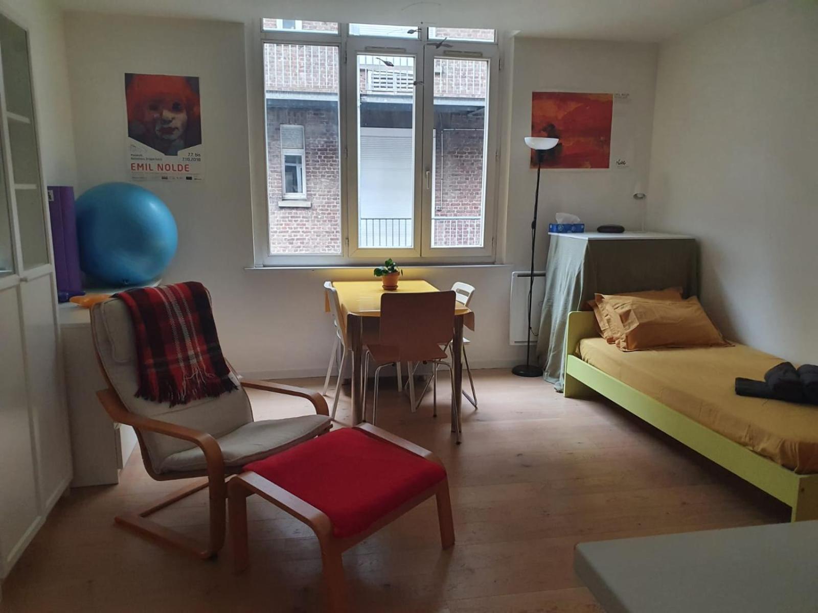 Flat Sainte Anne Appartement Lille