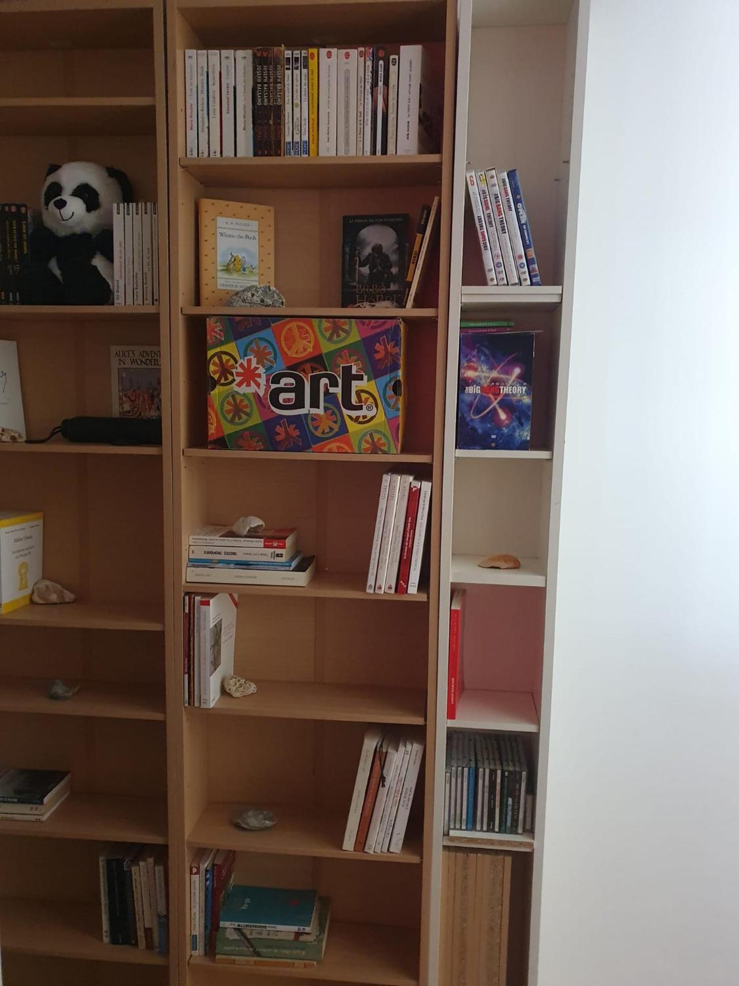 Flat Sainte Anne Lille