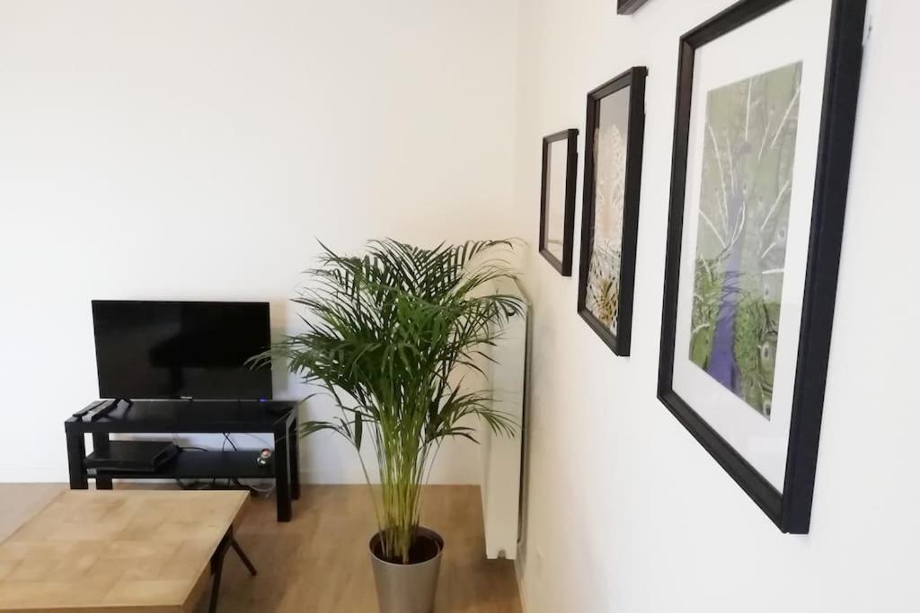 Appartement Proche Chu Avec Balcon Et Parking *