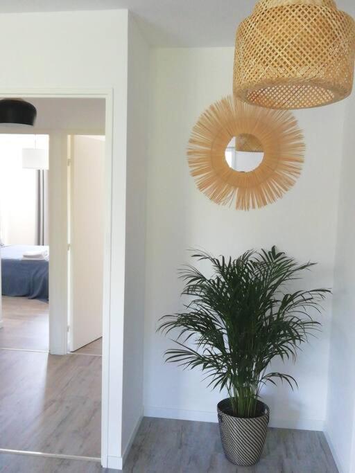 Appartement Avec 2 Et Parking Prive