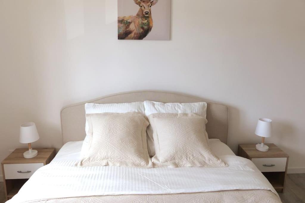 Avec 2 Et Parking Prive Appartement