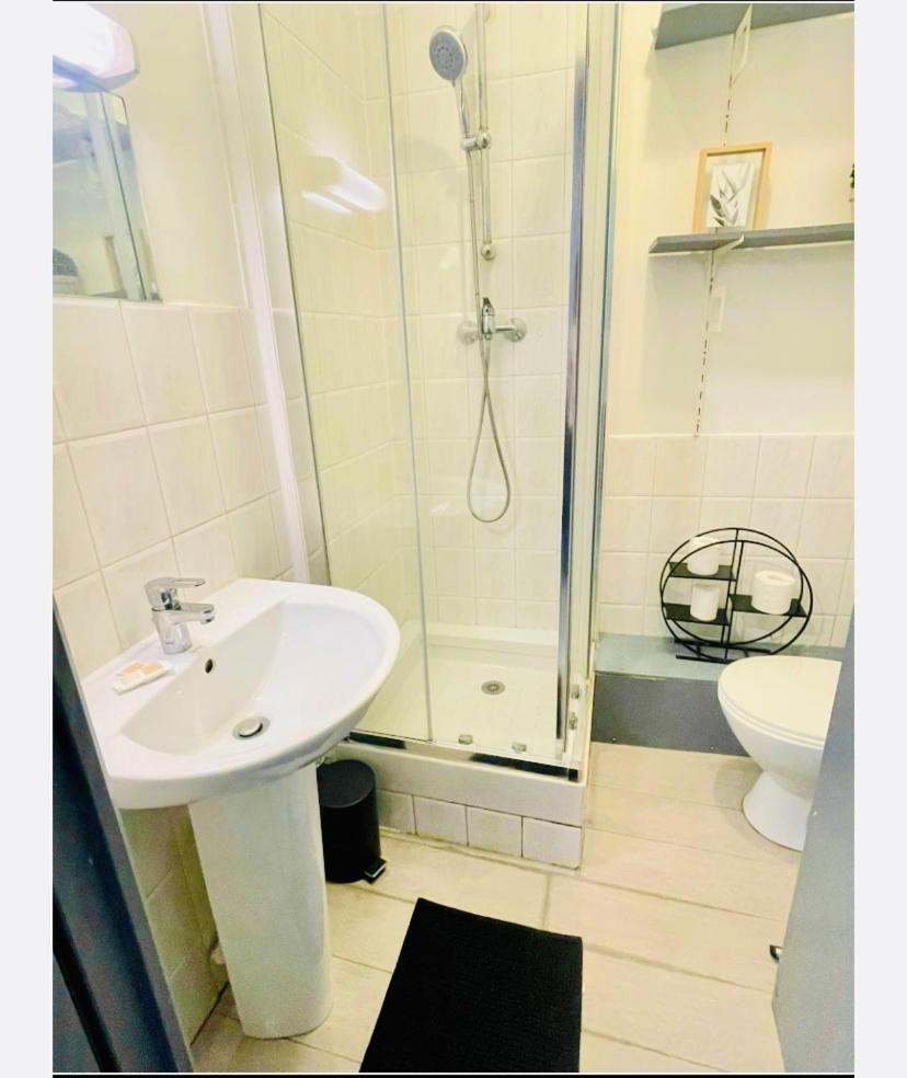 Entier 1 Piece Et Salle De Bain Lille