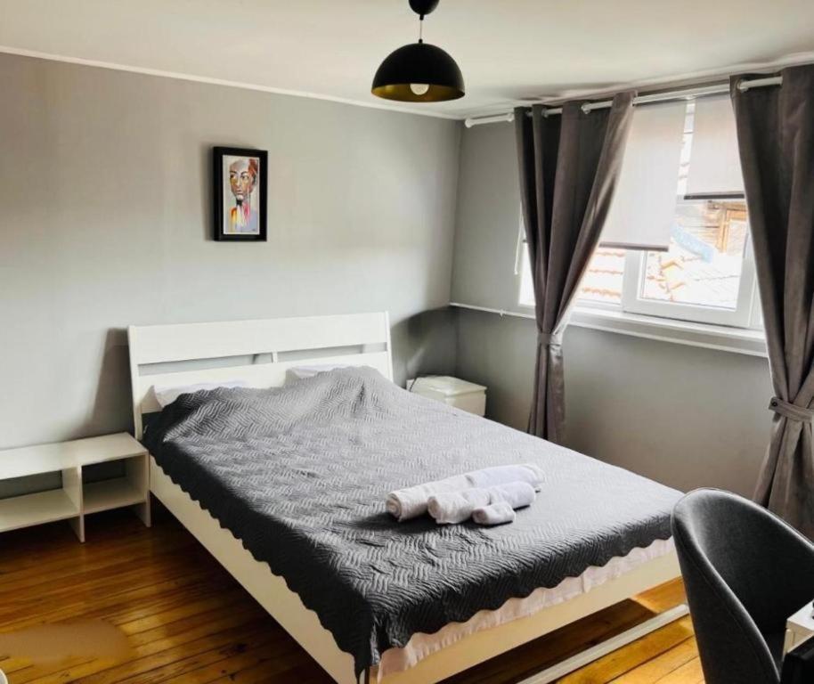 Typique Gare Flandre Centre Apartment