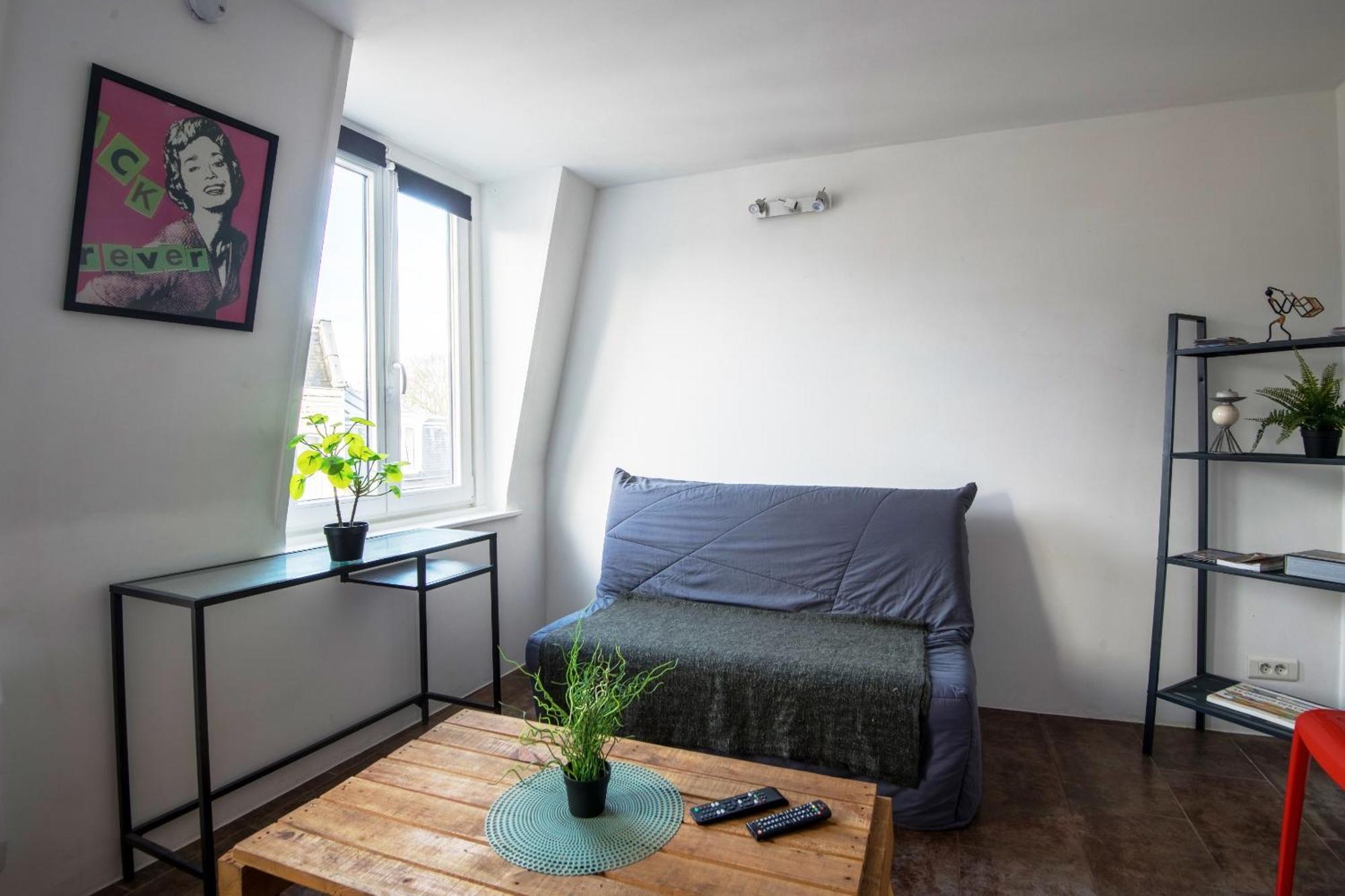 Apartment Royale Vieux 24h24h Access Lille