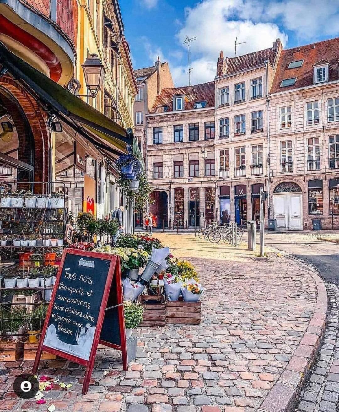 Le Saint Andre Apartment Lille