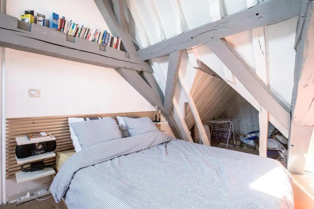 Le Loft Du Pelletier Apartment Lille