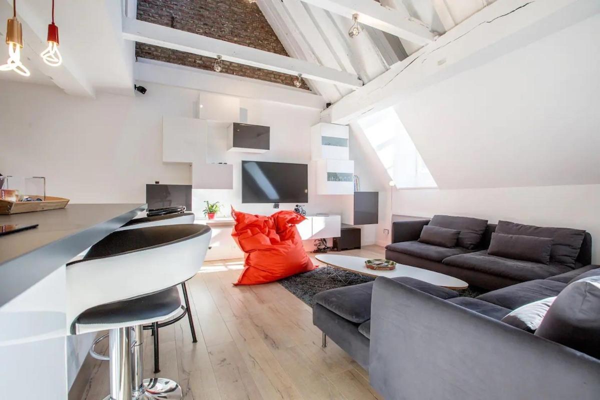 Le Loft Du Pelletier Apartment Lille