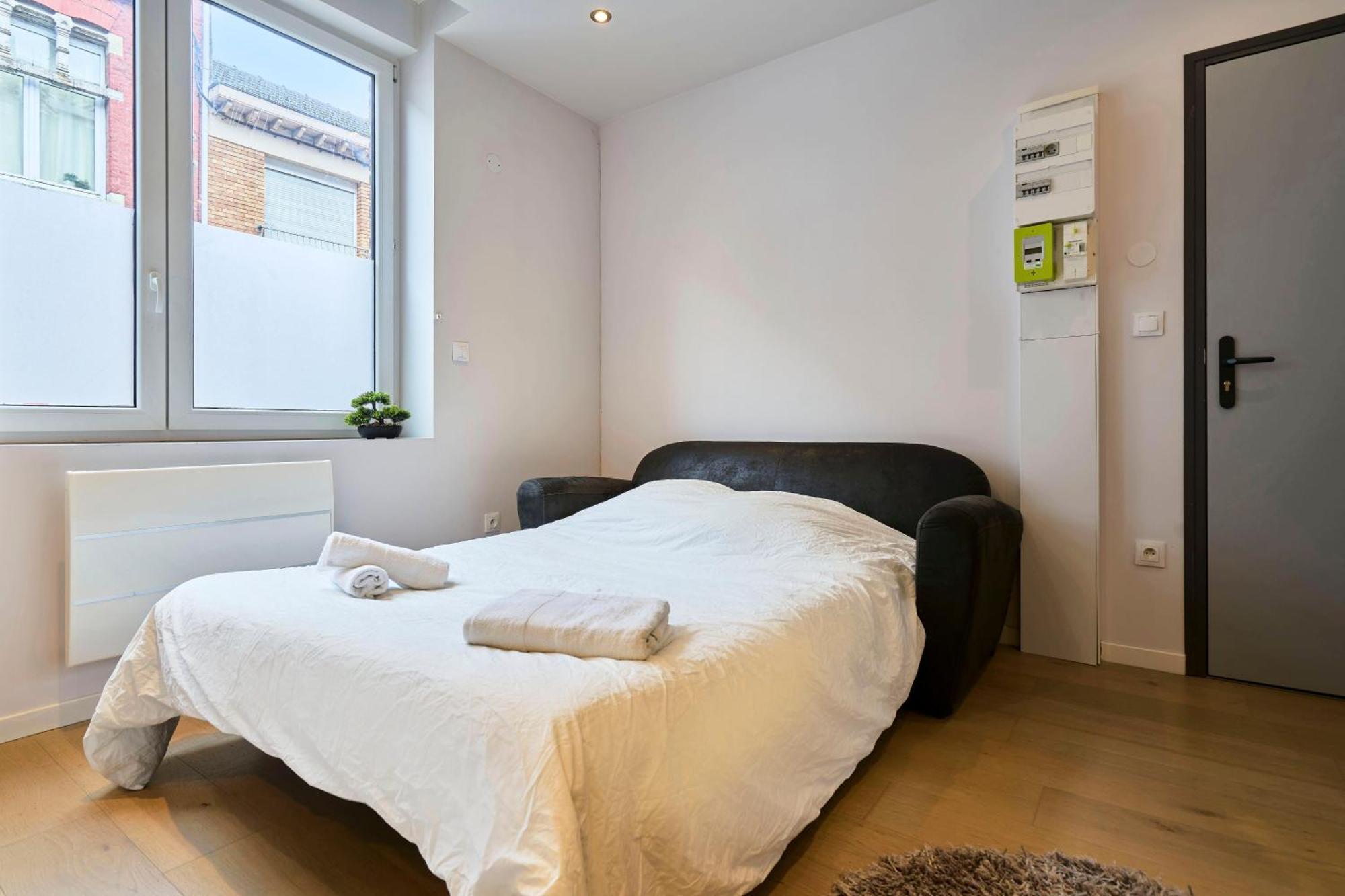 Hypercentre De Lille, A Deux Pas De La Gare Flandres Apartment *