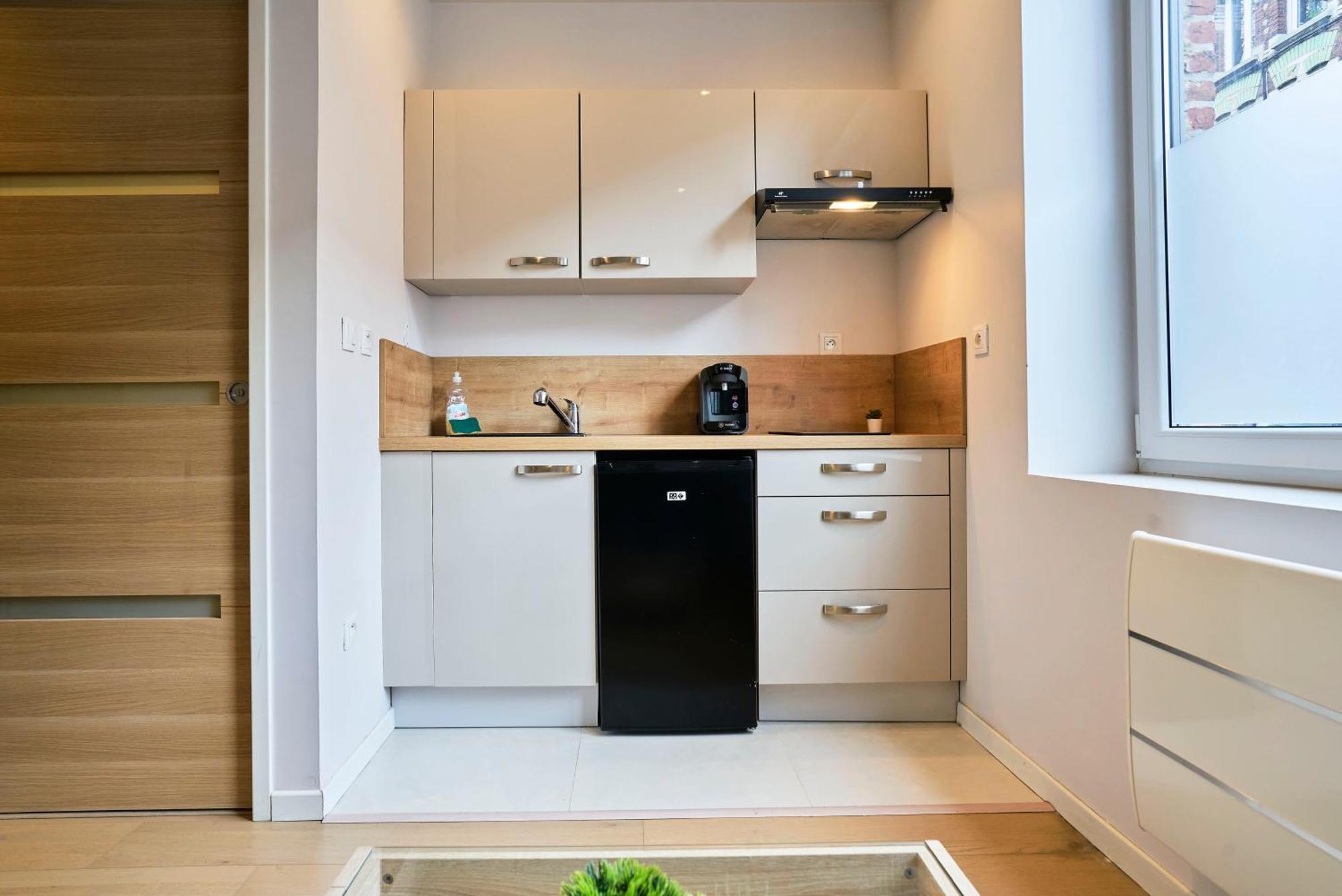Hypercentre De Lille, A Deux Pas De La Gare Flandres Apartment