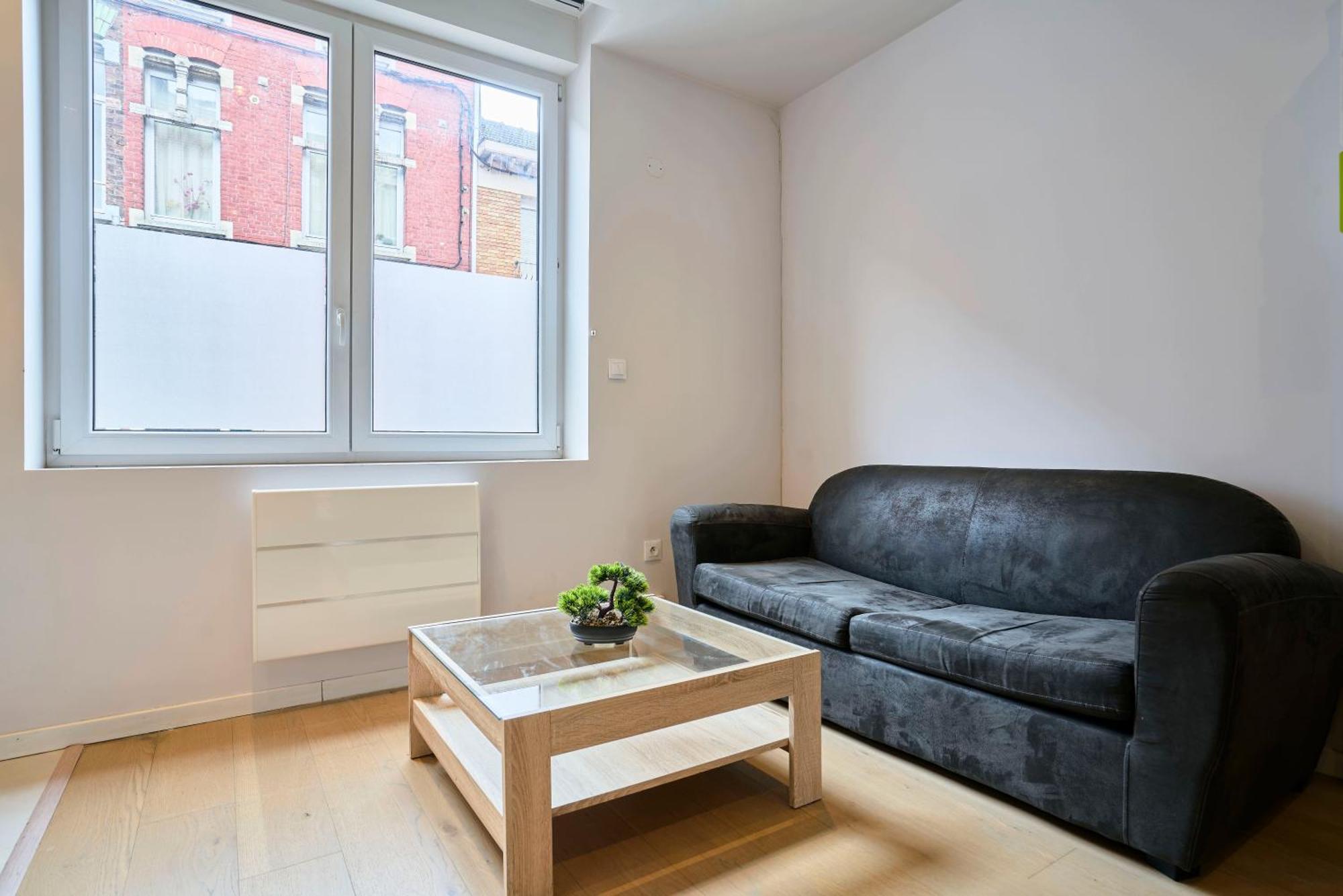 Apartment Hypercentre De Lille, A Deux Pas De La Gare Flandres