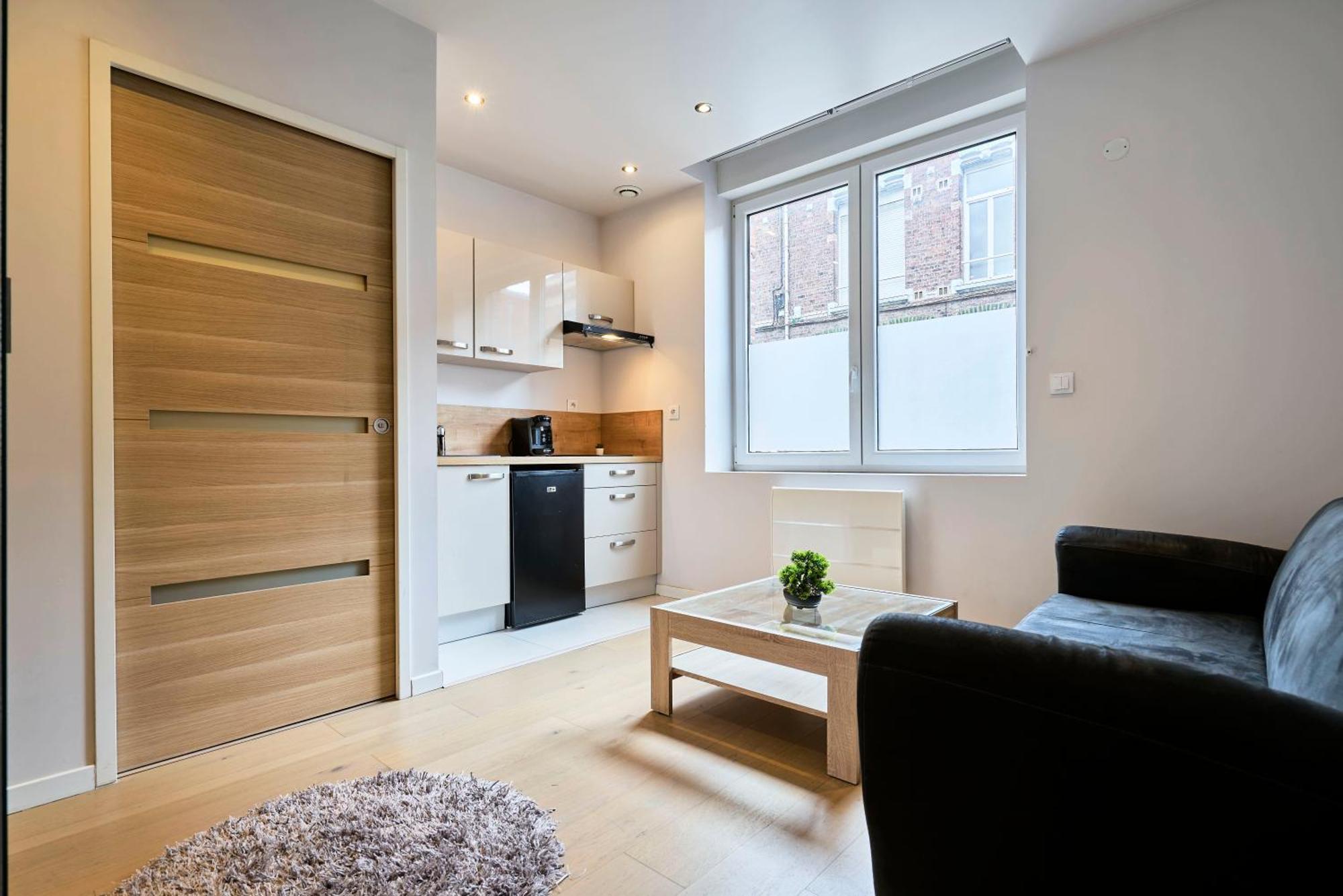Hypercentre De Lille, A Deux Pas De La Gare Flandres Apartment Lille